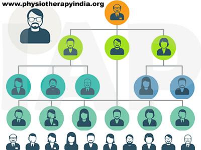 Recommended Hierarchy in Physiotherapy College (Academics)